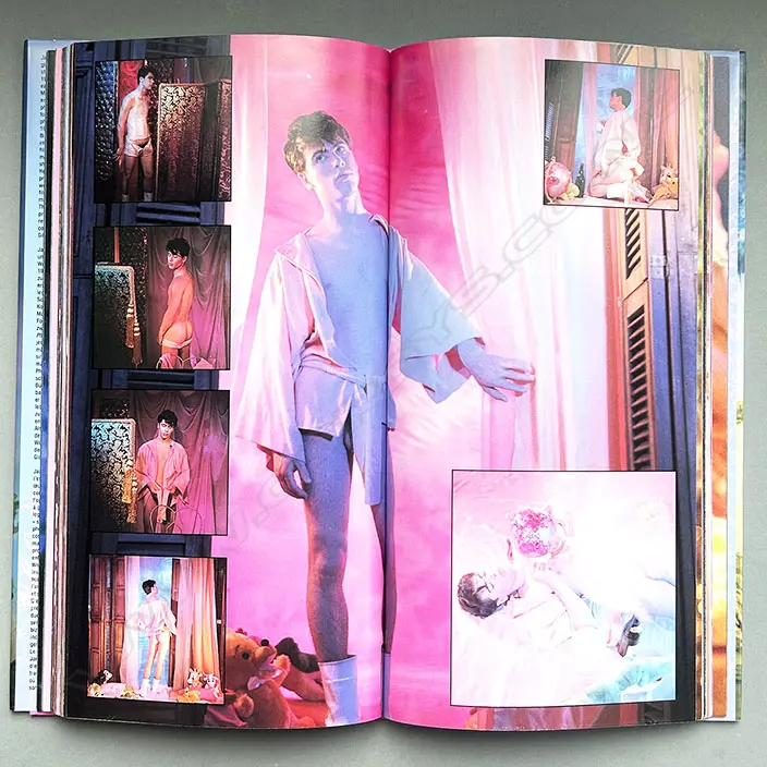 BRUCE BENDERSON: JAMES BIDGOOD Image 1++